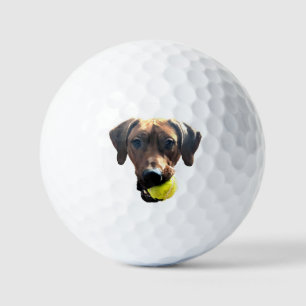 Balles De Golf Ballons de golf Rhodesian Ridgeback