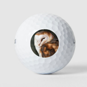 BALLES DE GOLF BARN OWL