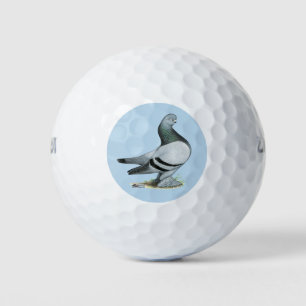 Balles De Golf Barre Bleue Berliner Tumbler Pigeon