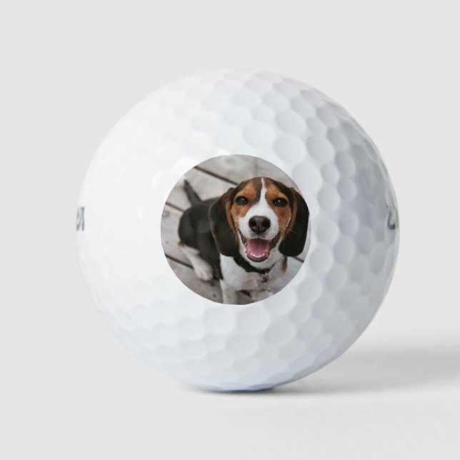 Balles De Golf Beagle_puppy assis (Devant)