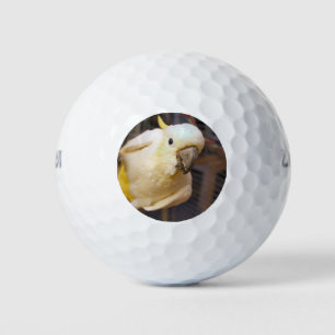 Balles De Golf Bella boy