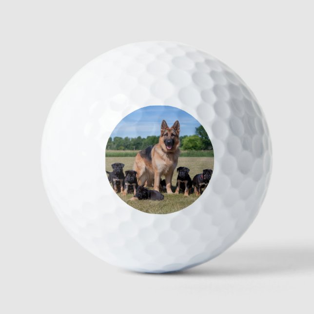 Balles De Golf Berger Allemand Personnalisable avec des Chiots Ad (Recto)