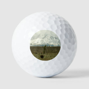 Balles De Golf Bison à Grand Teton National Park Photographie