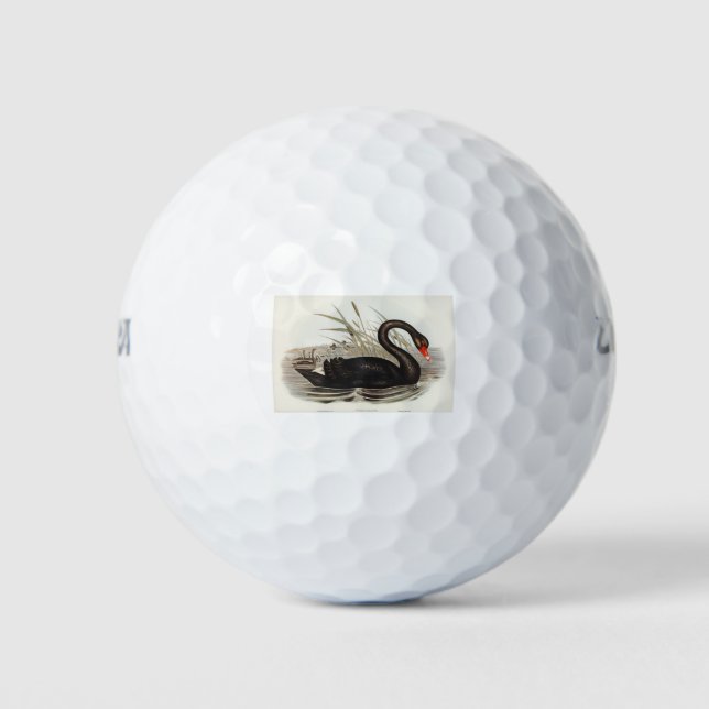 Balles De Golf Black Swan Vintage (Devant)