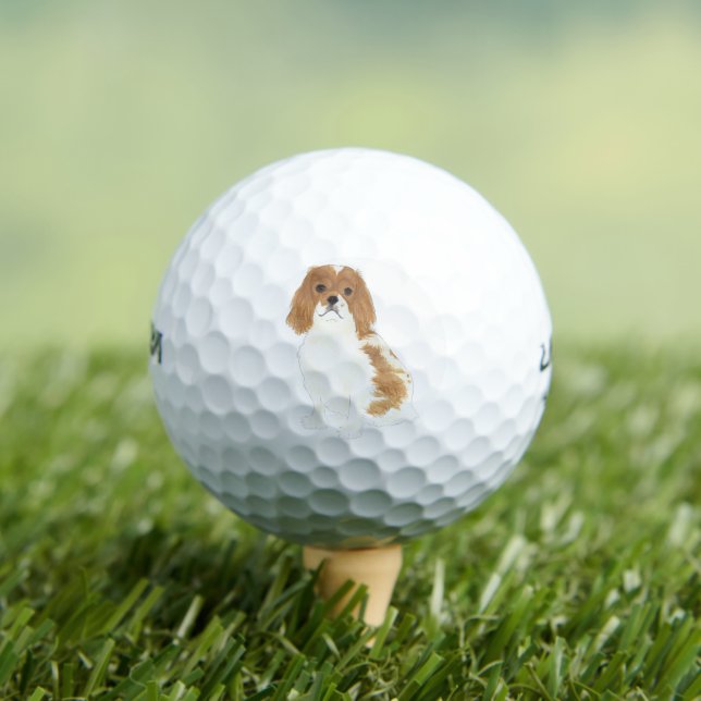Balles De Golf Blenheim Cavalier King Charles Spaniel (T-shirt Insitu)