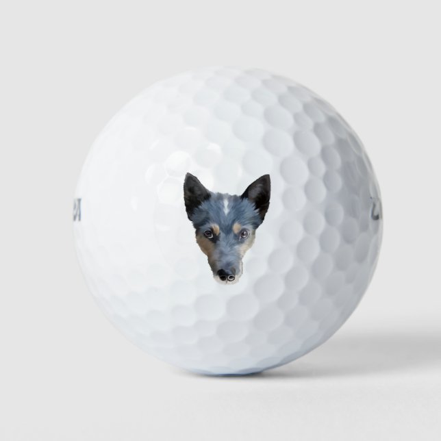 Balles De Golf Blue Heeler / Australian Cattle Dog (Devant)