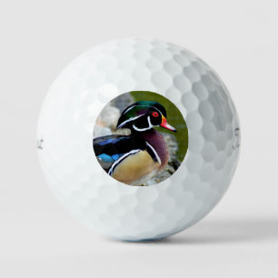 Balles De Golf Bois canard beauté oiseaux nature
