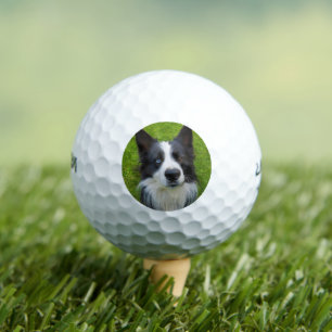 Balles De Golf Bordure Collie