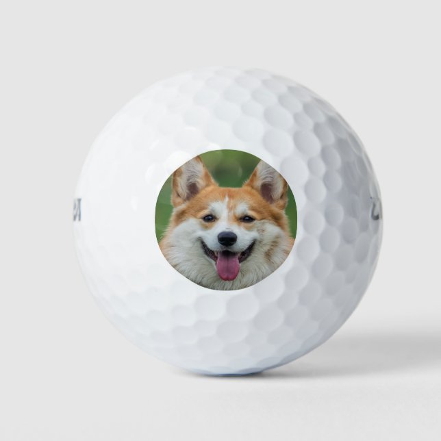 Balles De Golf Boules de golf photo pour animaux de compagnie per (Devant)