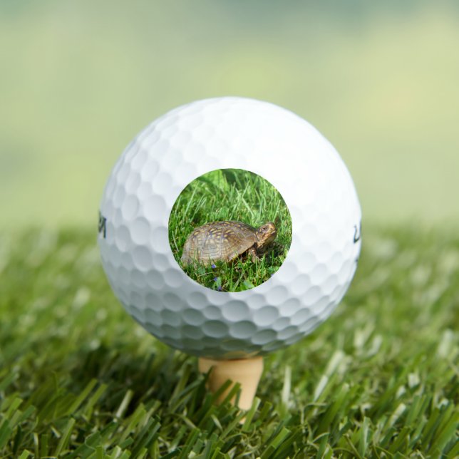 Balles De Golf Box Turtle (T-shirt Insitu)