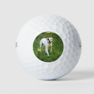 Balles De Golf Boxer