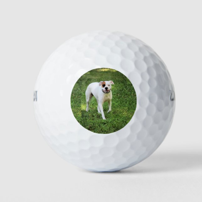 Balles De Golf Boxer (Devant)