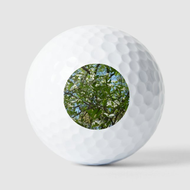 Balles De Golf Branche of Dogwood Blossoms Spring Trees (Recto)
