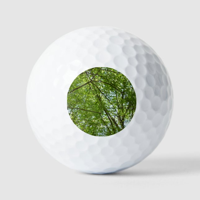 Balles De Golf Canopée du printemps Feuille Green Nature Scene (Recto)