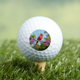 Balles De Golf Cardinal sur une branche de Redbud