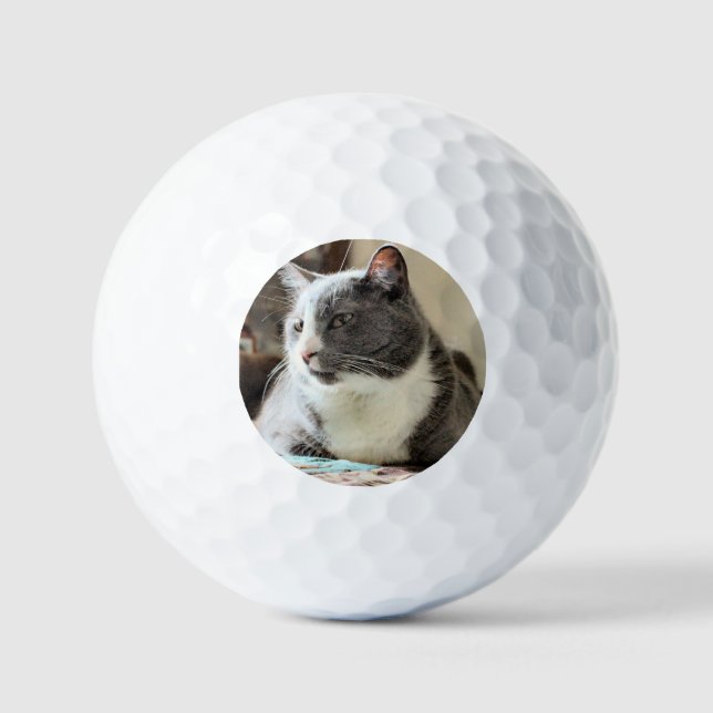 Balles De Golf Cat (Recto)