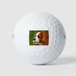 Balles De Golf Cavalier King Charles Spaniel