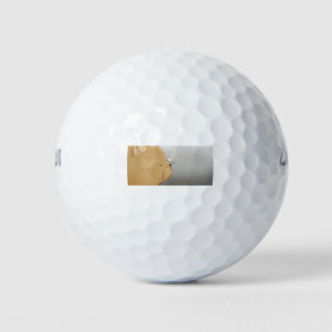 Balles De Golf Chat Chat Et Souris Cute Souris Animal Kitten Feli