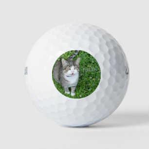 Balles De Golf Chat en Clover dire bonjour