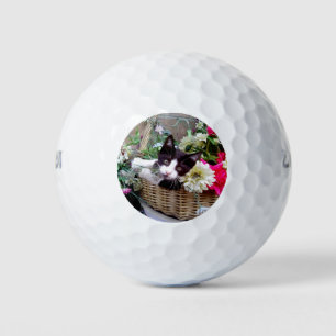 Balles De Golf Chaton dans un panier