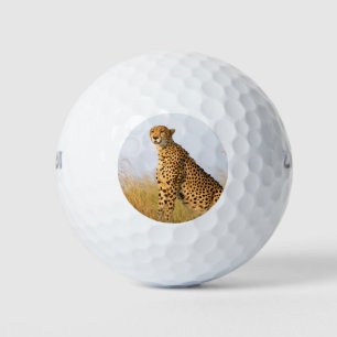 Balles De Golf Cheetah animal sauvage Big Cat photo