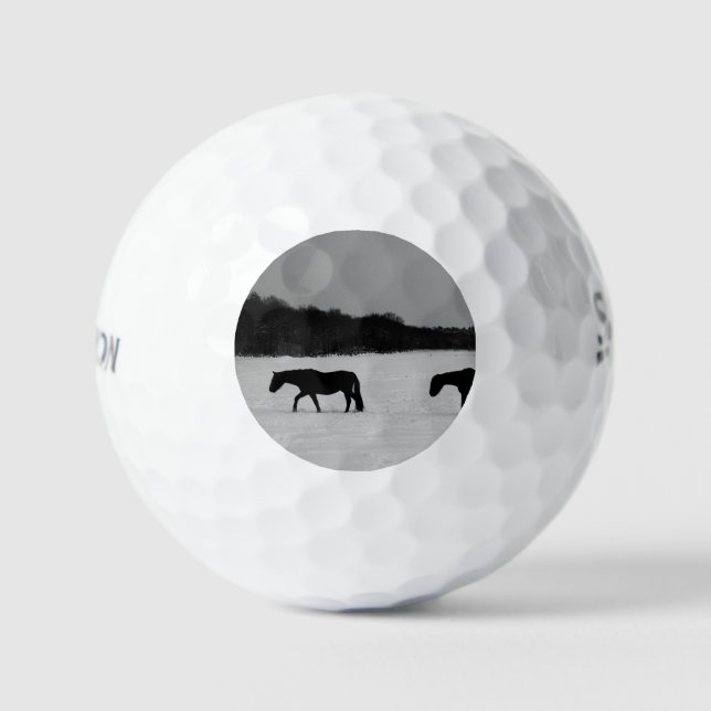 Balles De Golf Chevaux sur neige ssf gbcna (Recto)