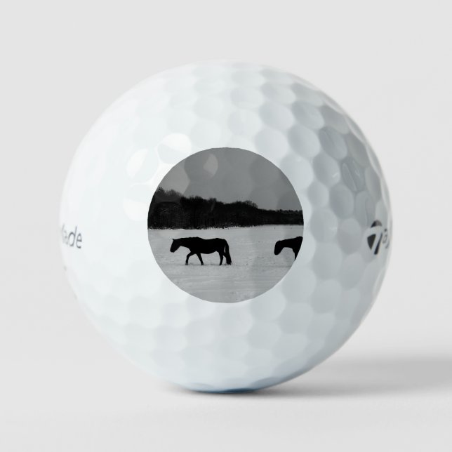 Balles De Golf Chevaux sur neige tmtp5 gbcnm (Recto)