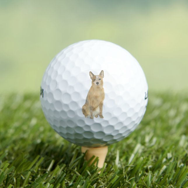 Balles De Golf Chien de chien australien Red Heeler (T-shirt Insitu)