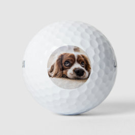 Balles De Golf Chien Espagnol Coqueur Triste