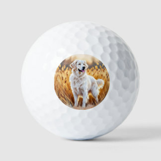 Balles De Golf Chien Retriever Golden Blanc