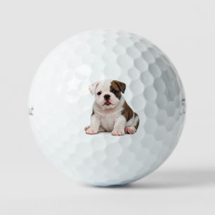 Balles De Golf Chiot Bouledogue Anglais Mignon