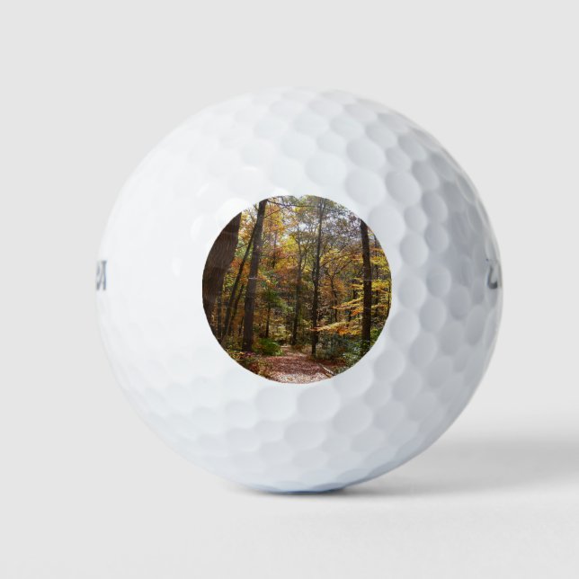 Balles De Golf Chute Sunlit dans le parc national de Laurel Hill (Devant)