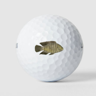 Balles De Golf Cichlidé caméléon