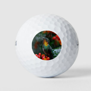 Balles De Golf Colibri perché sur une fleur vive