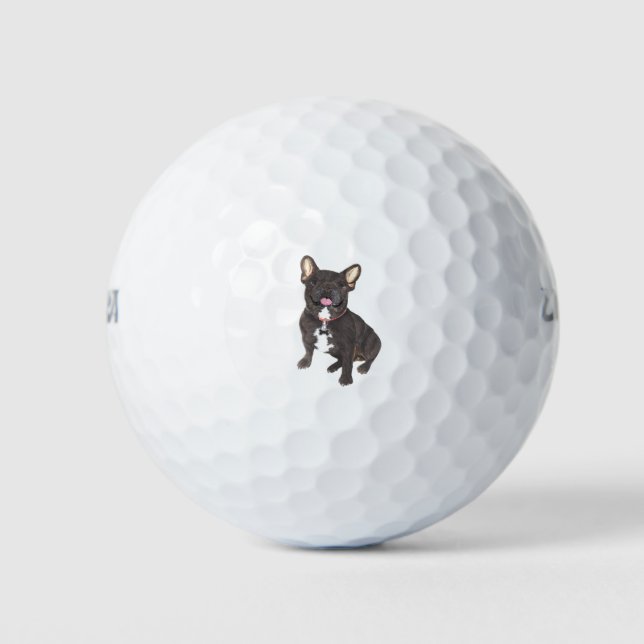 Balles De Golf Collection Black French Bulldog (Devant)