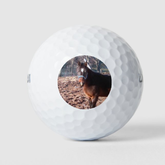 Balles De Golf Comté de Brown Farm Horse Raleigh (Devant)