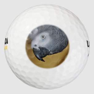 Balles De Golf Congo Afrique Grey Parrot Bonjour