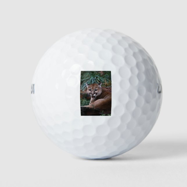 Balles De Golf Cougar (Devant)