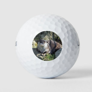 BALLES DE GOLF COUPER OTTER