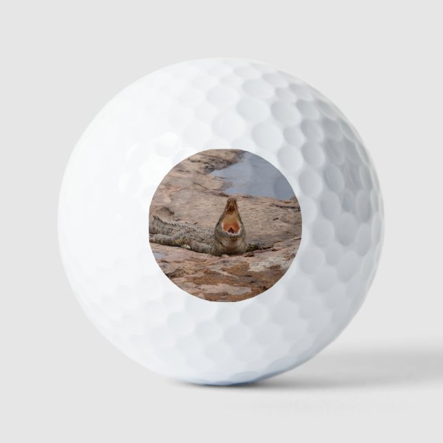 Balles De Golf Crocodile d'Afrique - rivière Masai (Recto)