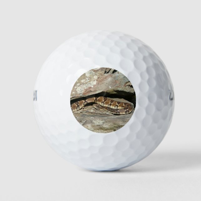 Balles De Golf Crotale dans le parc national de Shenandoah (Devant)