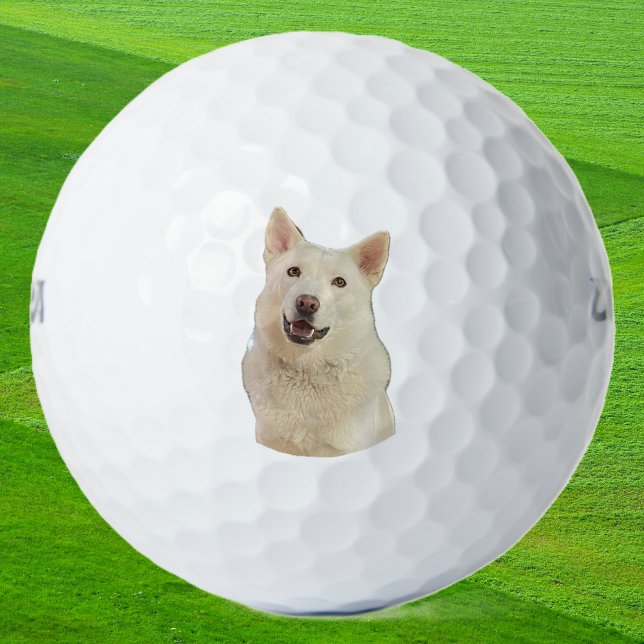 Balles De Golf Crystal the Happy Husky Dog - Balls de golf (crystal golf ball)