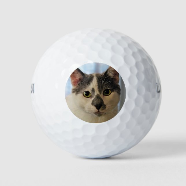 Balles De Golf Cute chat (Devant)