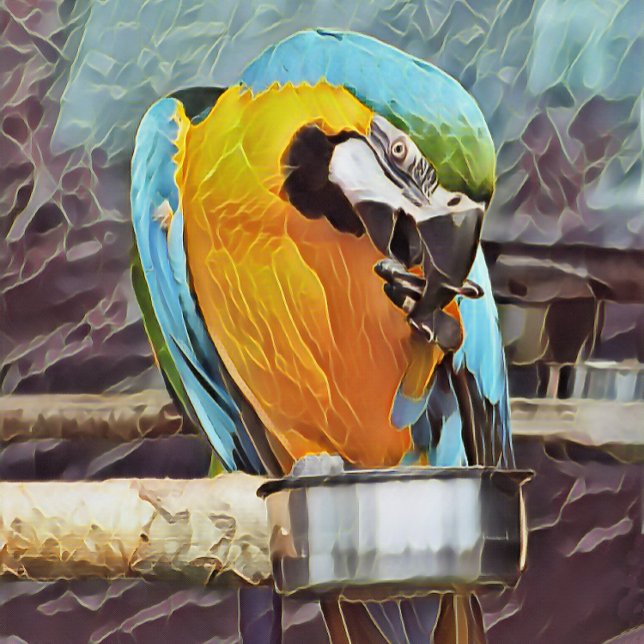 BALLES DE GOLF CUTE MACAW (An art design of a cute macaw.)