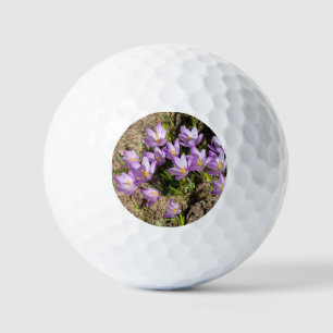 Balles De Golf Cute spring crocuses