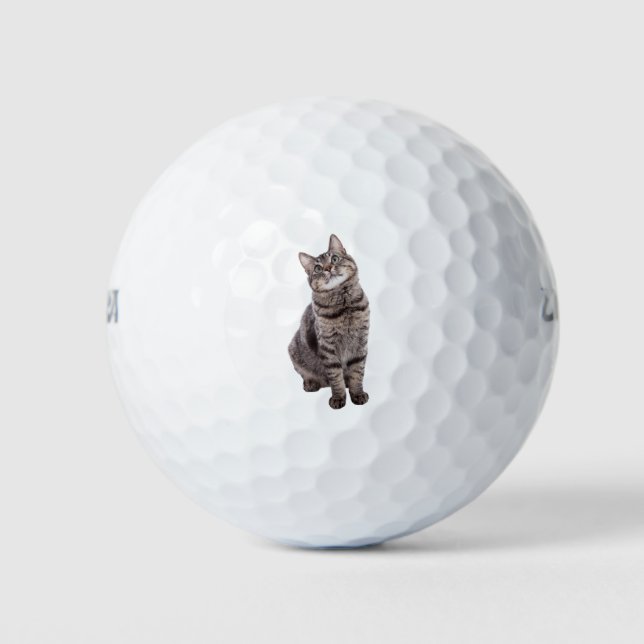 Balles De Golf Cute tabby Chat (Devant)