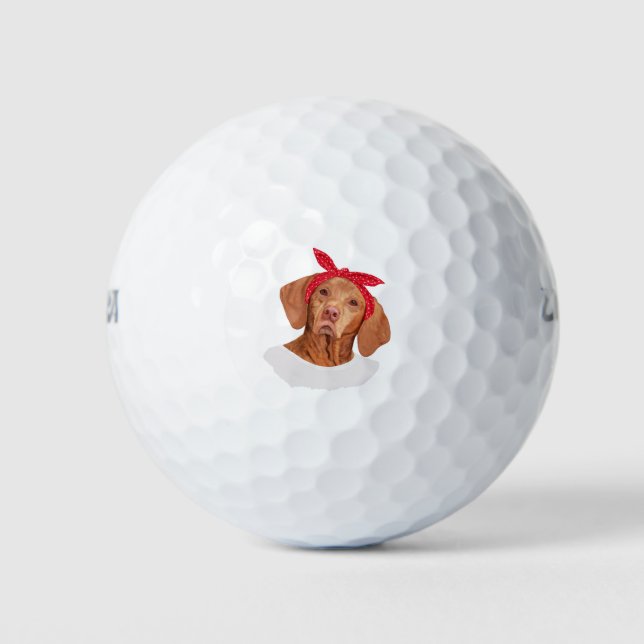 Balles De Golf Cute Vizsla with head scarf (Devant)