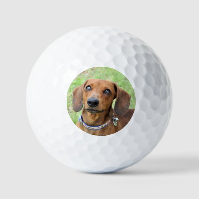Balles De Golf Dachshund (Recto)