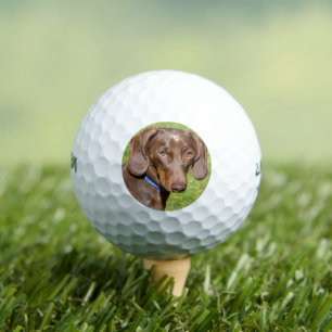 Balles De Golf Dachshund