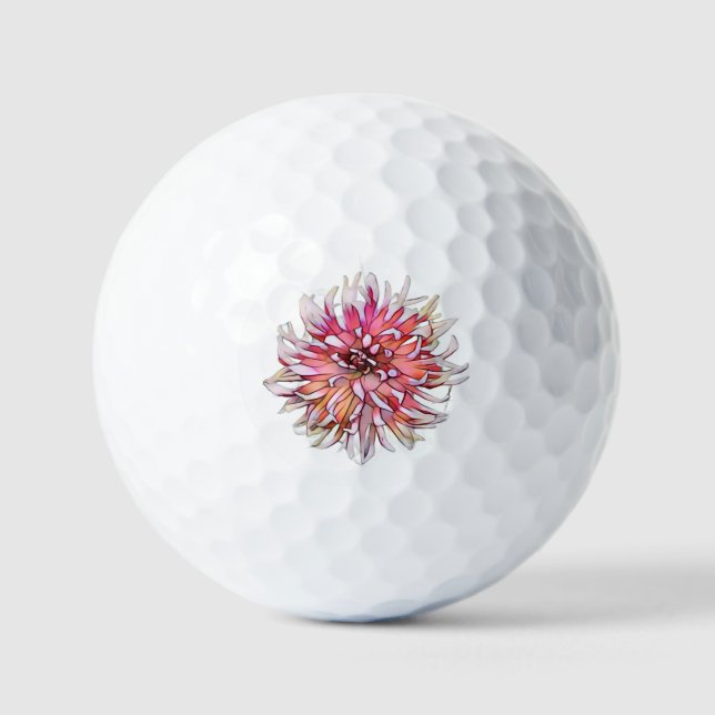 BALLES DE GOLF DAHLIA FLOWER (Recto)